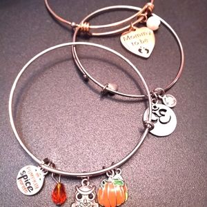 Alex and Ani (3) plus 5 charm bracelets